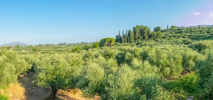 Artemis House Dom wakacyjny *