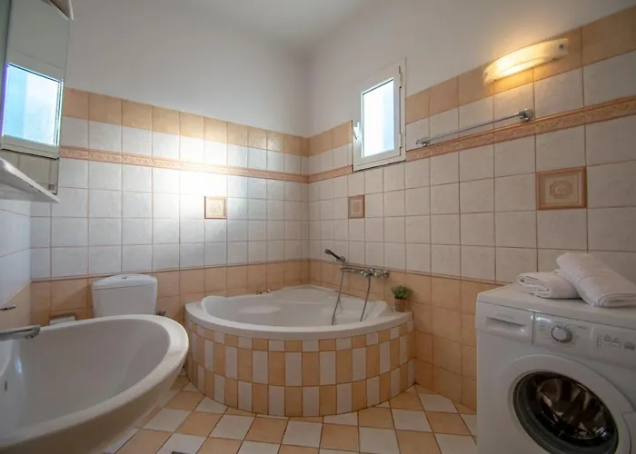 Artemis House Dom wakacyjny *